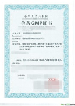 福建多地企业办理兽药GMP证书与增值电信业务指南